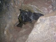 Summer '06 Sunriver 144 